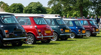 National Mini Day
